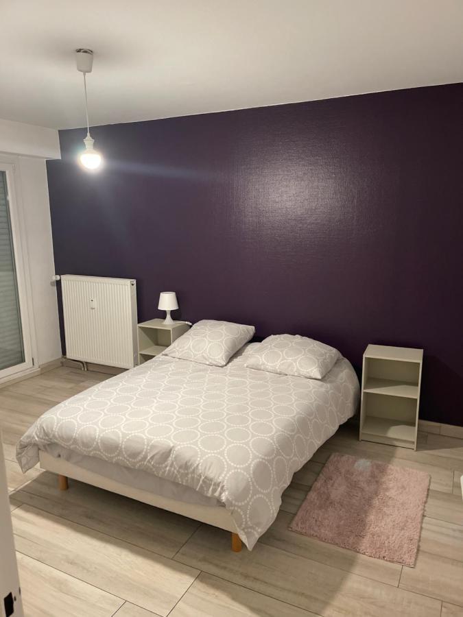 Superbe Appartement Avec Place De Parking Gratuit Strasburgo Esterno foto